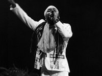 BL-50 : Plein les Watts, Tiwony, concert, festival, genève, live, music, plan-les-ouates, suisse, swiss