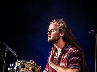 NL Banyans  (18)