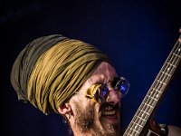 NL Banyans  (20)