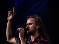 NL Banyans  (24)
