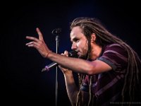 NL Banyans  (38)