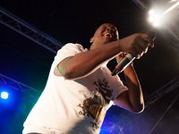 ATHOS 04 : Ambiance, Chanteur, Evénements, Festival, Genève, Genève Campagne, Lieux, Musique, Najavibes, Plan les Ouates, Plein les watts, Style, Suisse, Tippa Irie, groupe