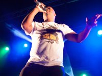ATHOS 05 : Ambiance, Chanteur, Evénements, Festival, Genève, Genève Campagne, Lieux, Musique, Najavibes, Plan les Ouates, Plein les watts, Style, Suisse, Tippa Irie, groupe