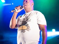 ATHOS 07 : Ambiance, Chanteur, Evénements, Festival, Genève, Genève Campagne, Lieux, Musique, Najavibes, Plan les Ouates, Plein les watts, Style, Suisse, Tippa Irie, groupe