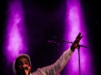NL Earl16  (45)