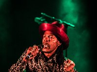 NL Prophet  (35)