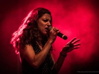 NL Rootstudy  (18)