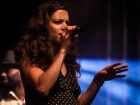 NL Rootstudy  (6)