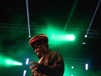 GS  (86)